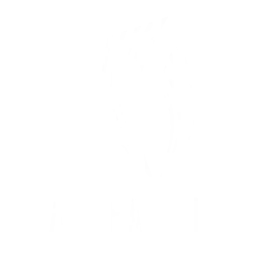 Apnea.si logo